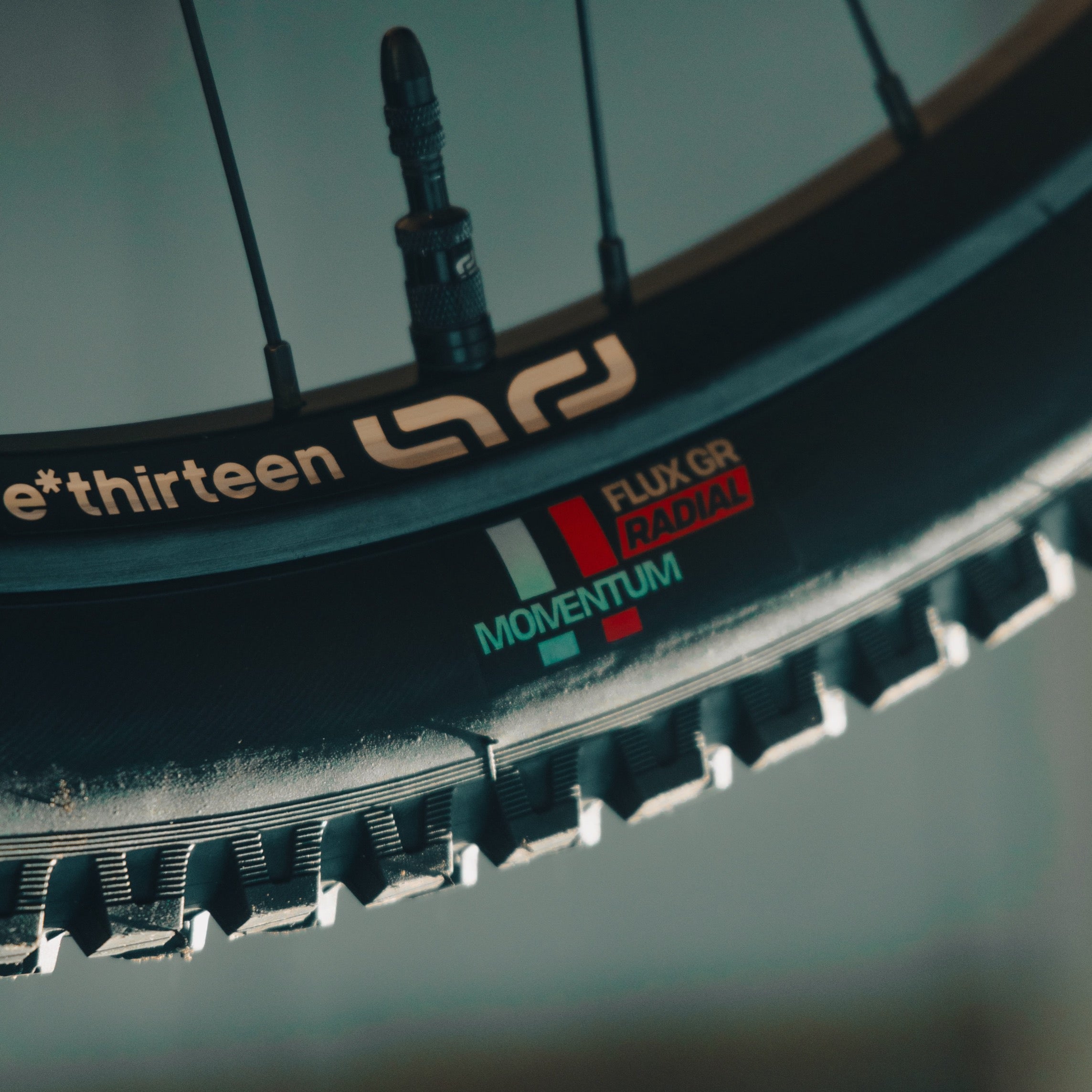Grappler Radial MTB Tire