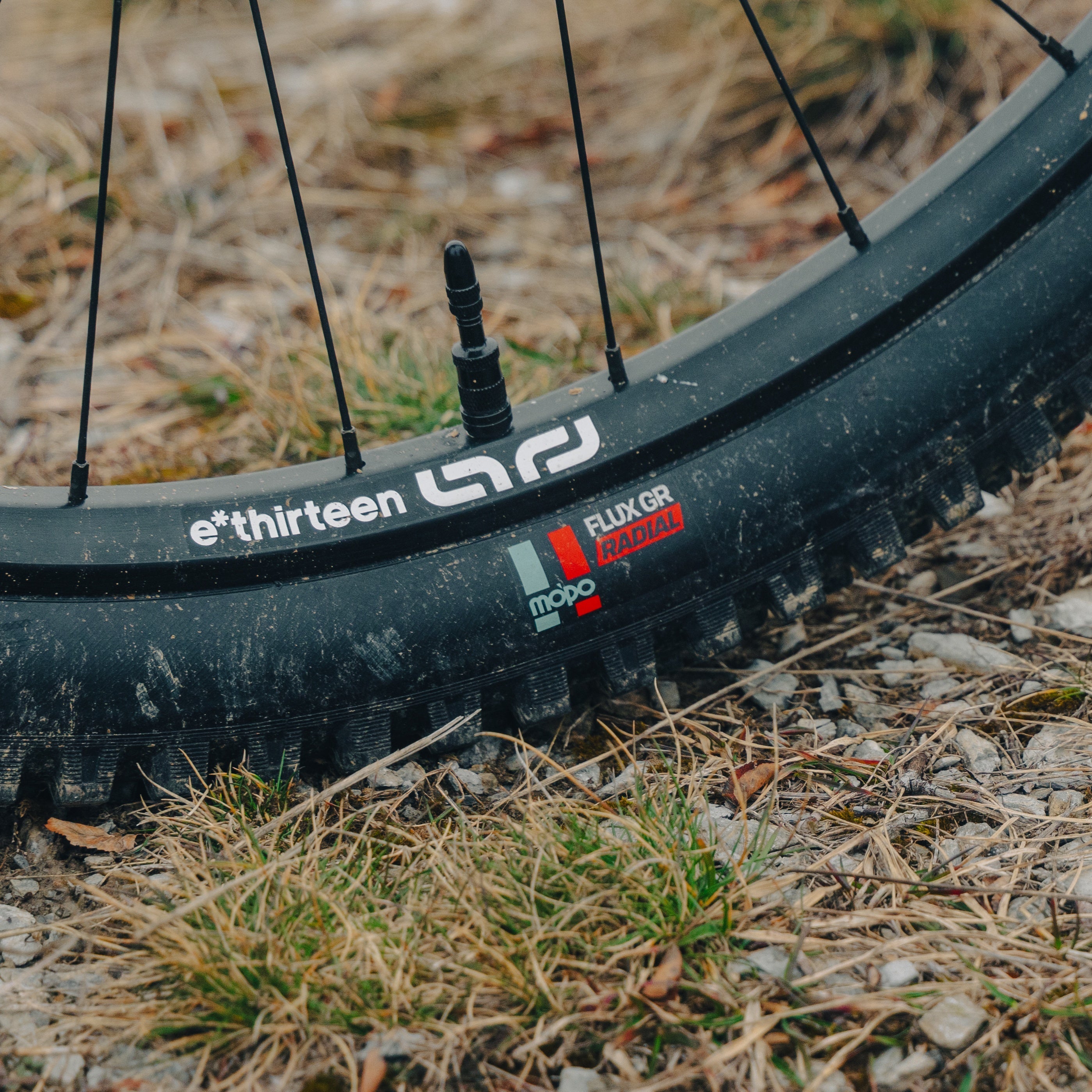Grappler Radial MTB Tire
