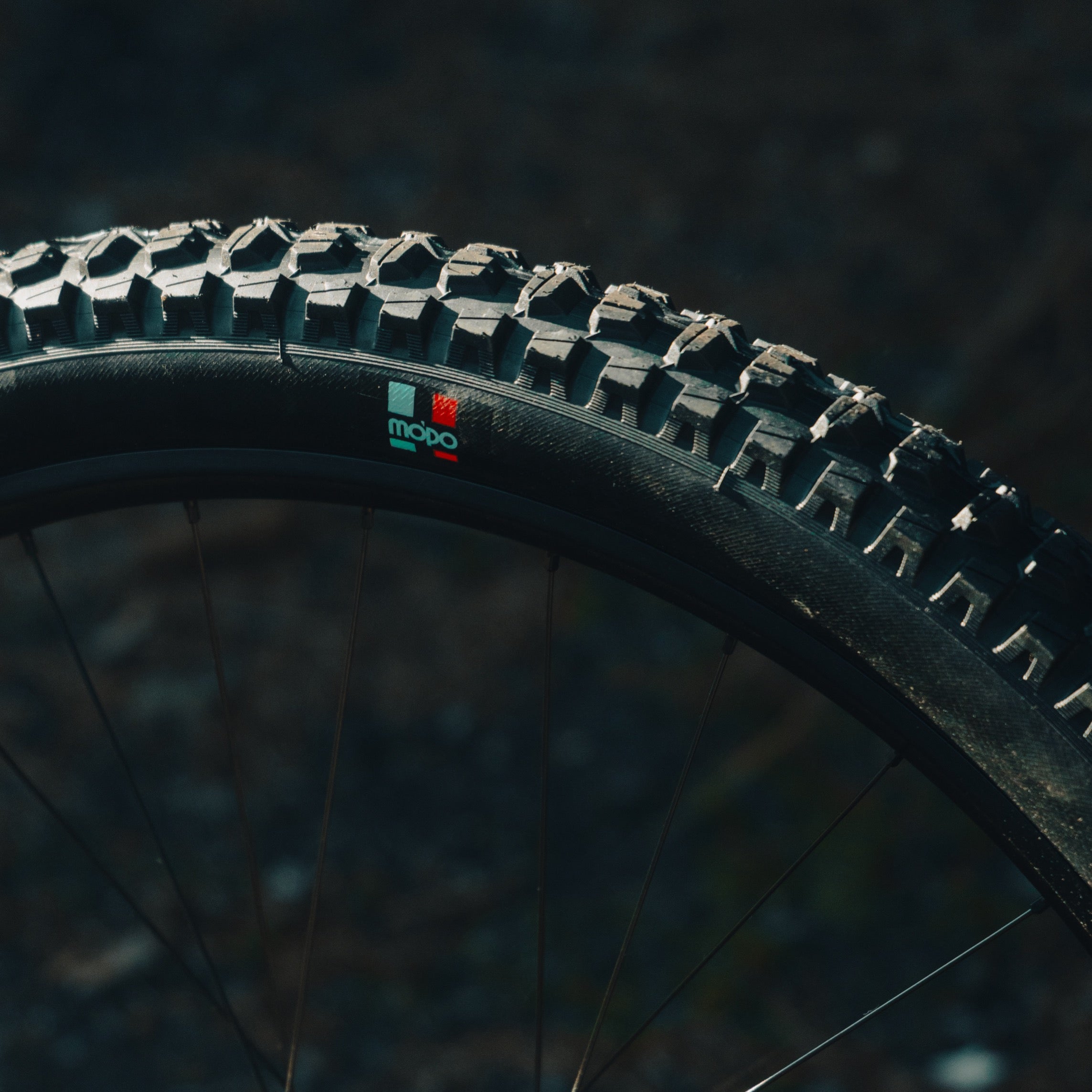Grappler RS Rear MTB Tire