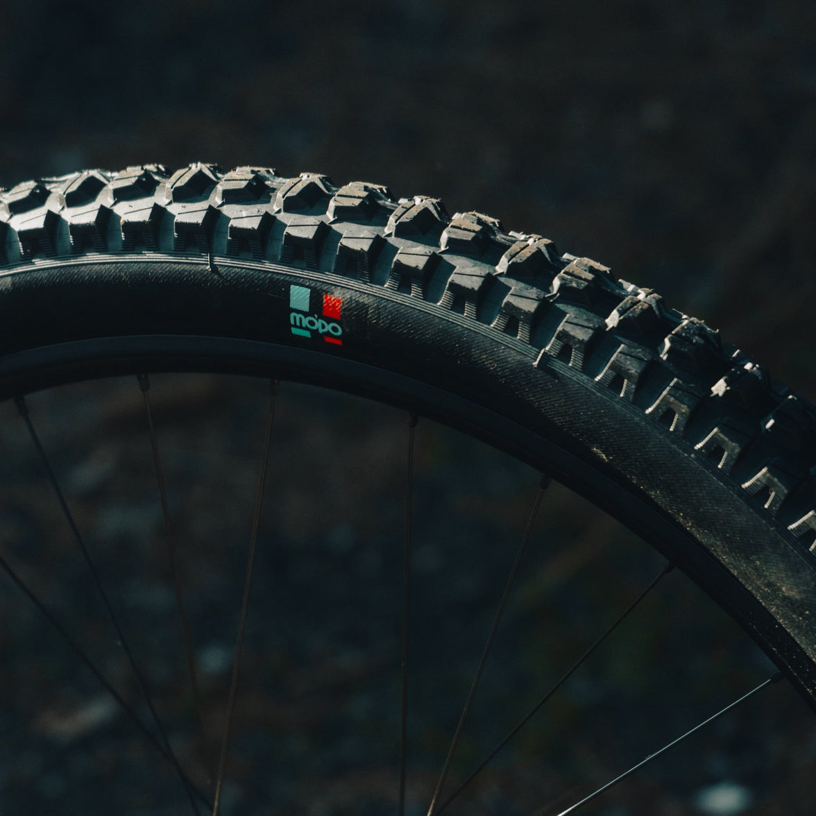 Grappler RS Rear MTB Tire