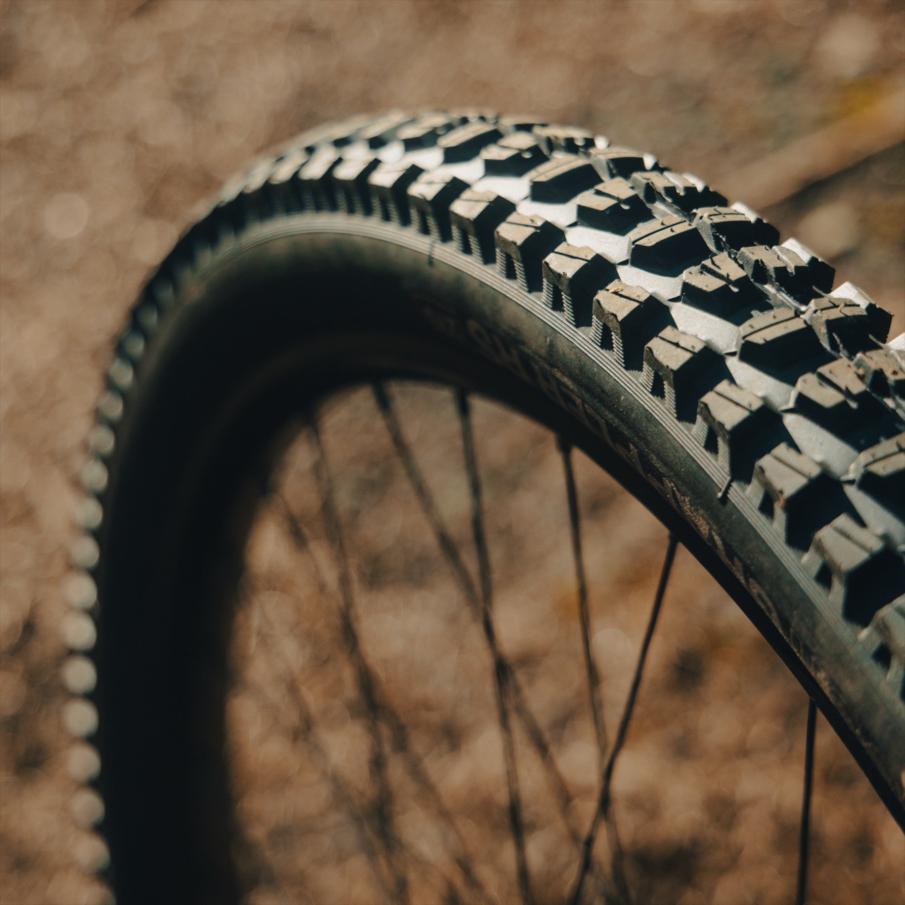Grappler RS Rear MTB Tire