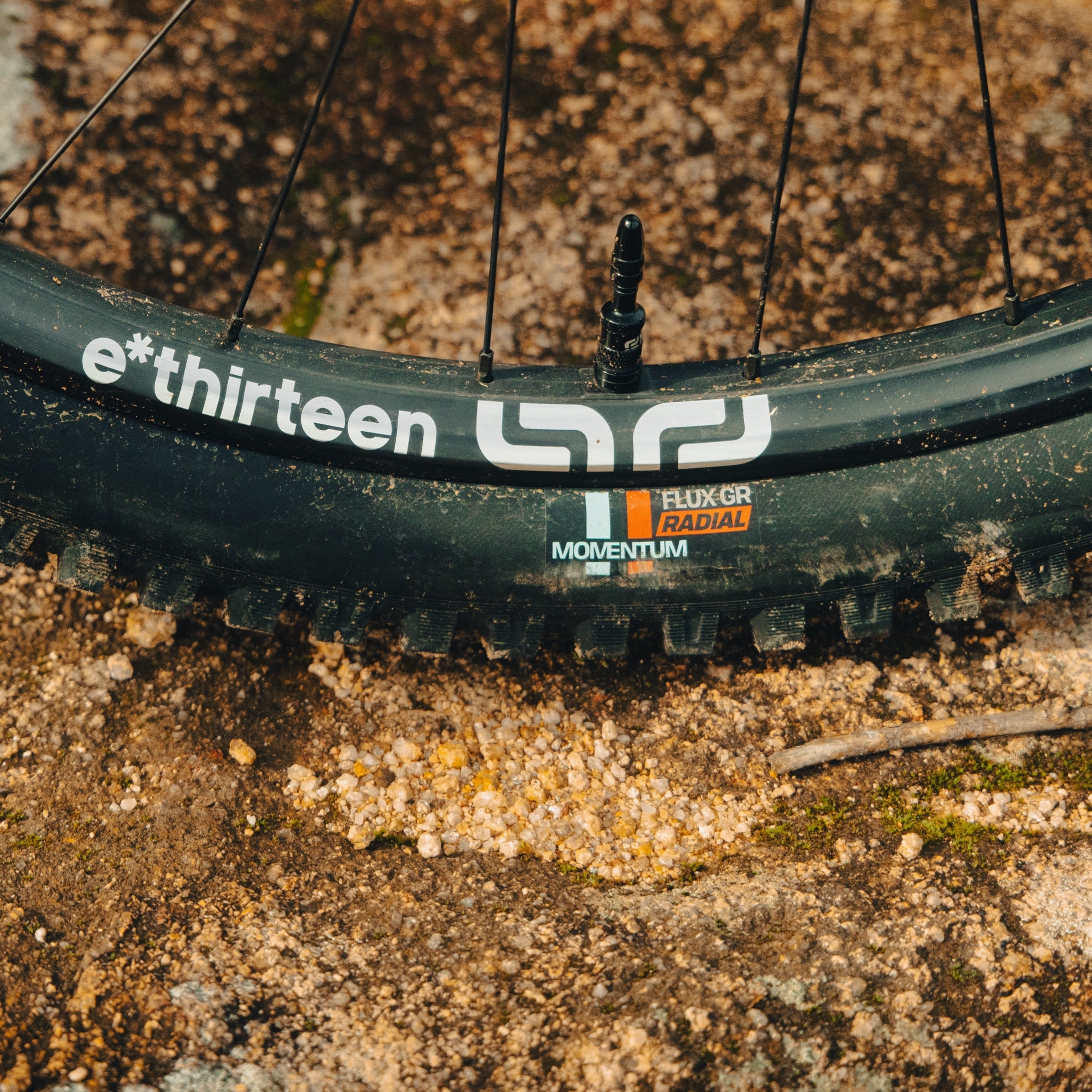 Grappler RS Rear Radial MTB Tire